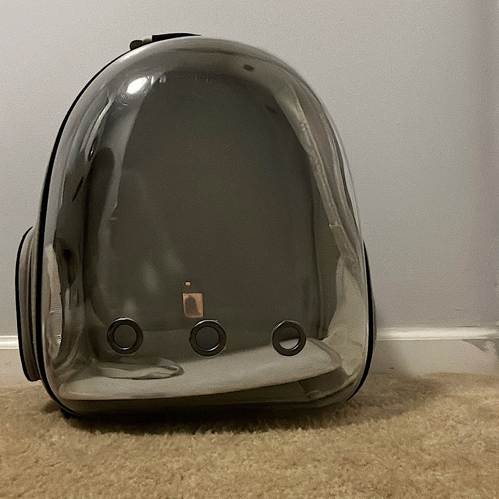 Black Cat Backpack